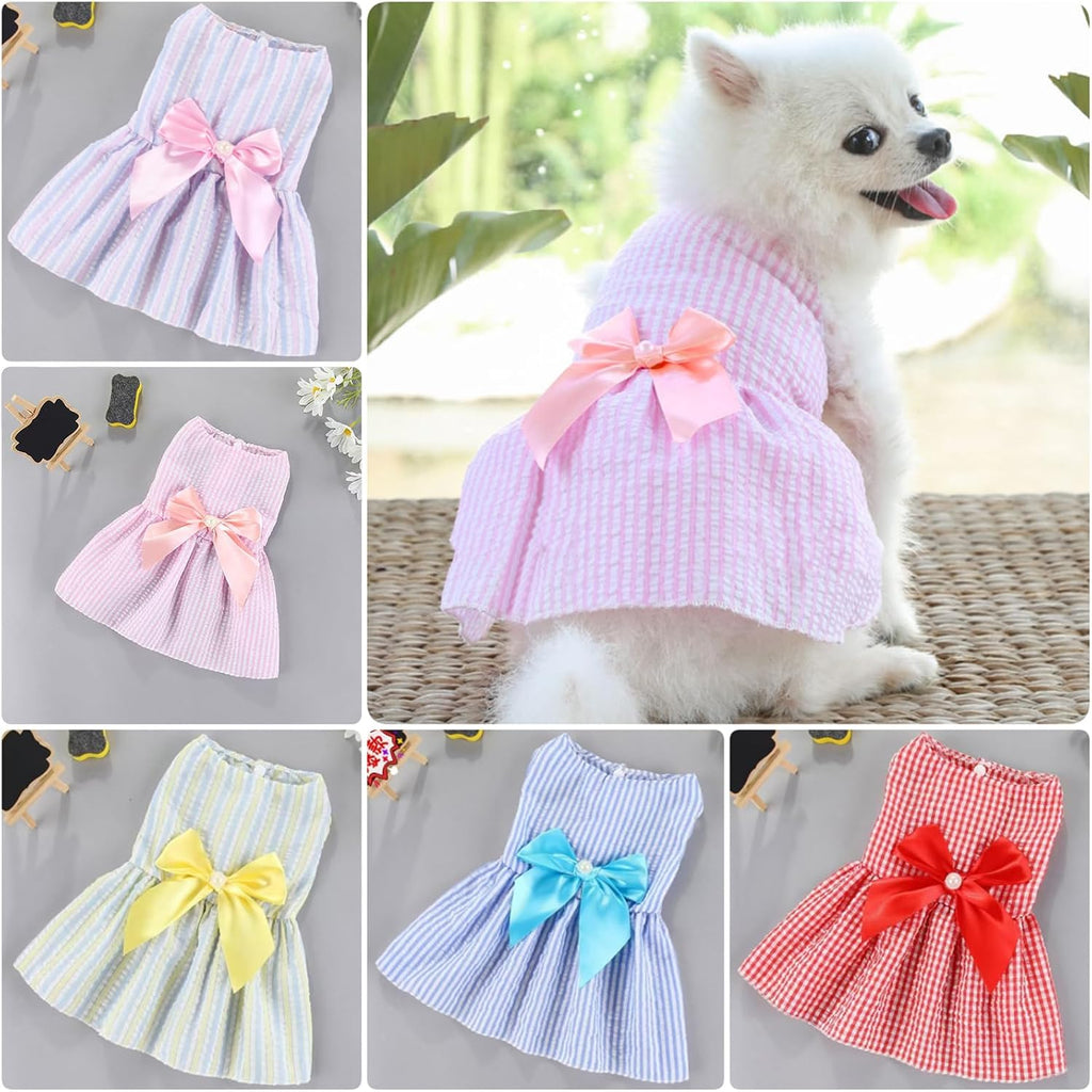 Small Chihuahua wearing the OTKARXUS summer dog clothes during an outdoor garden party