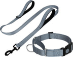FunTags Reflective Hotpink Martingale Collar (16"-20") & Leash (5ft x 1") for Medium Dog, Escape-Proof with 2 Handles, Safe Night Walks, Durable Nylon, Quick-Release Buckle - Image 11