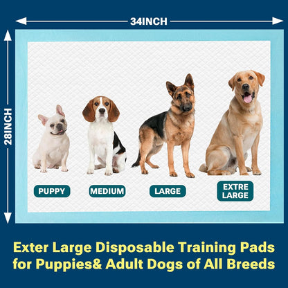 Clean Spaces premium extra large disposable potty pads package contents display