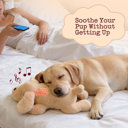 Internal heartbeat module for Fuzzwoof calming pet toy