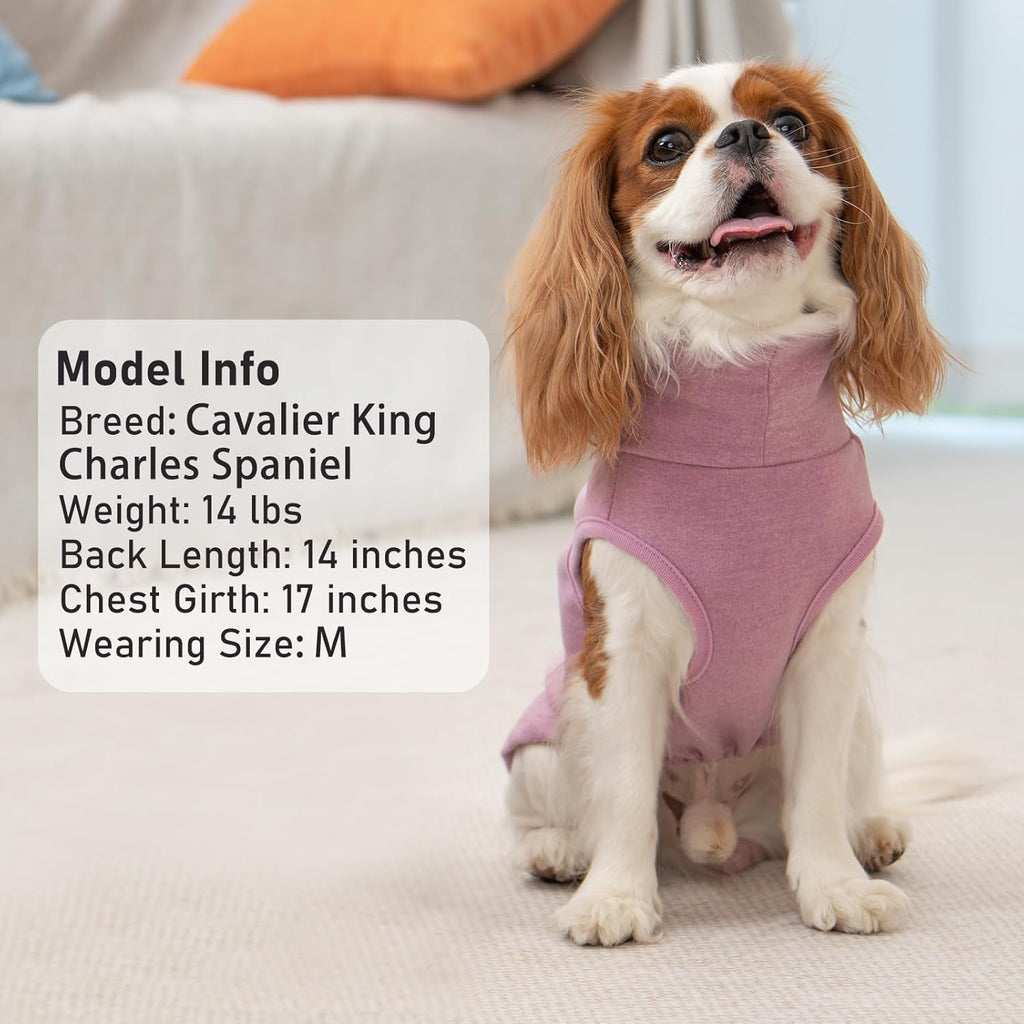 Close up of stretchy velvet dog sweater fabric