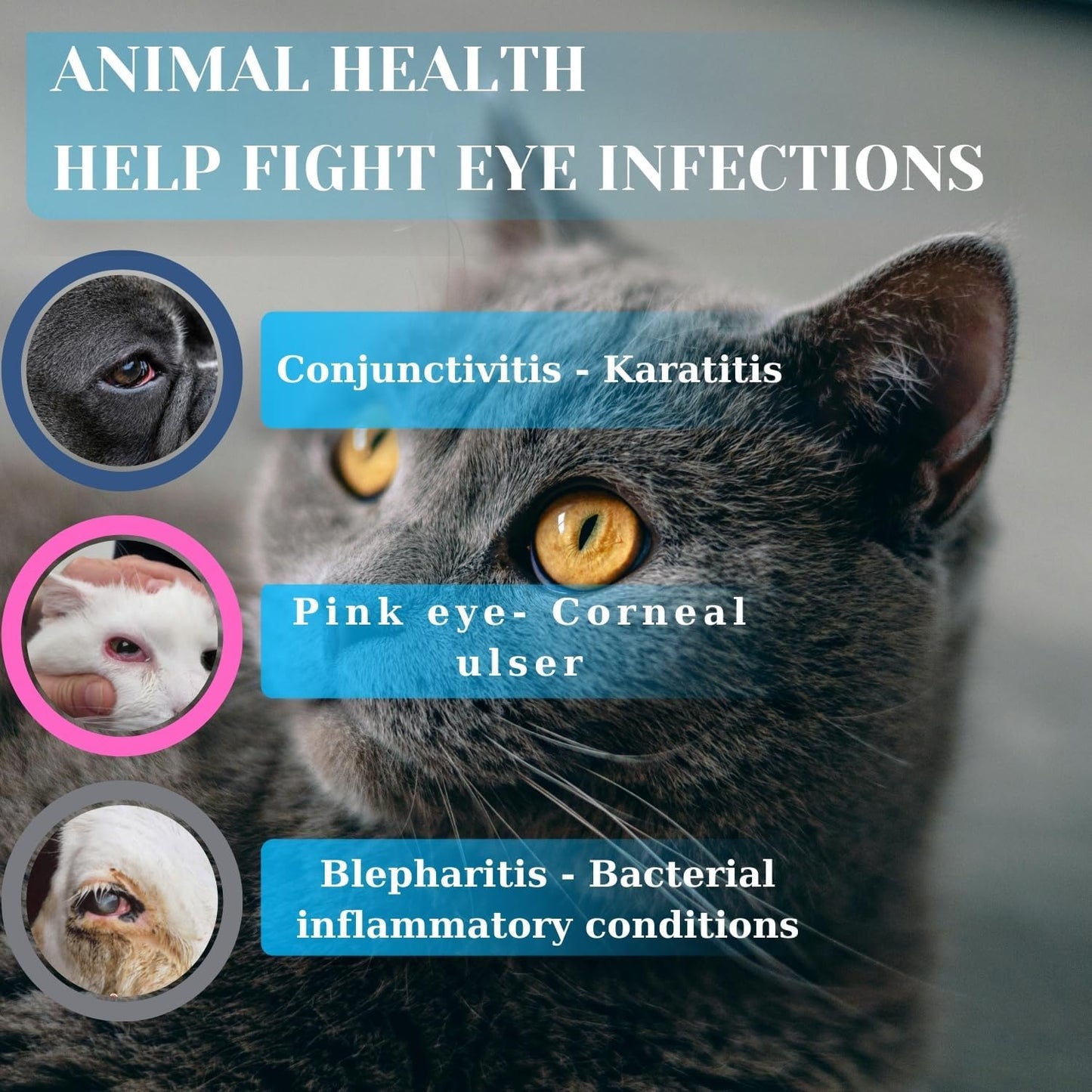 Terrapet antibiotic eye ointment for livestock including cattle and sheep