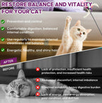 BiKontrun internal balance support liquid for cats with easy dropper top