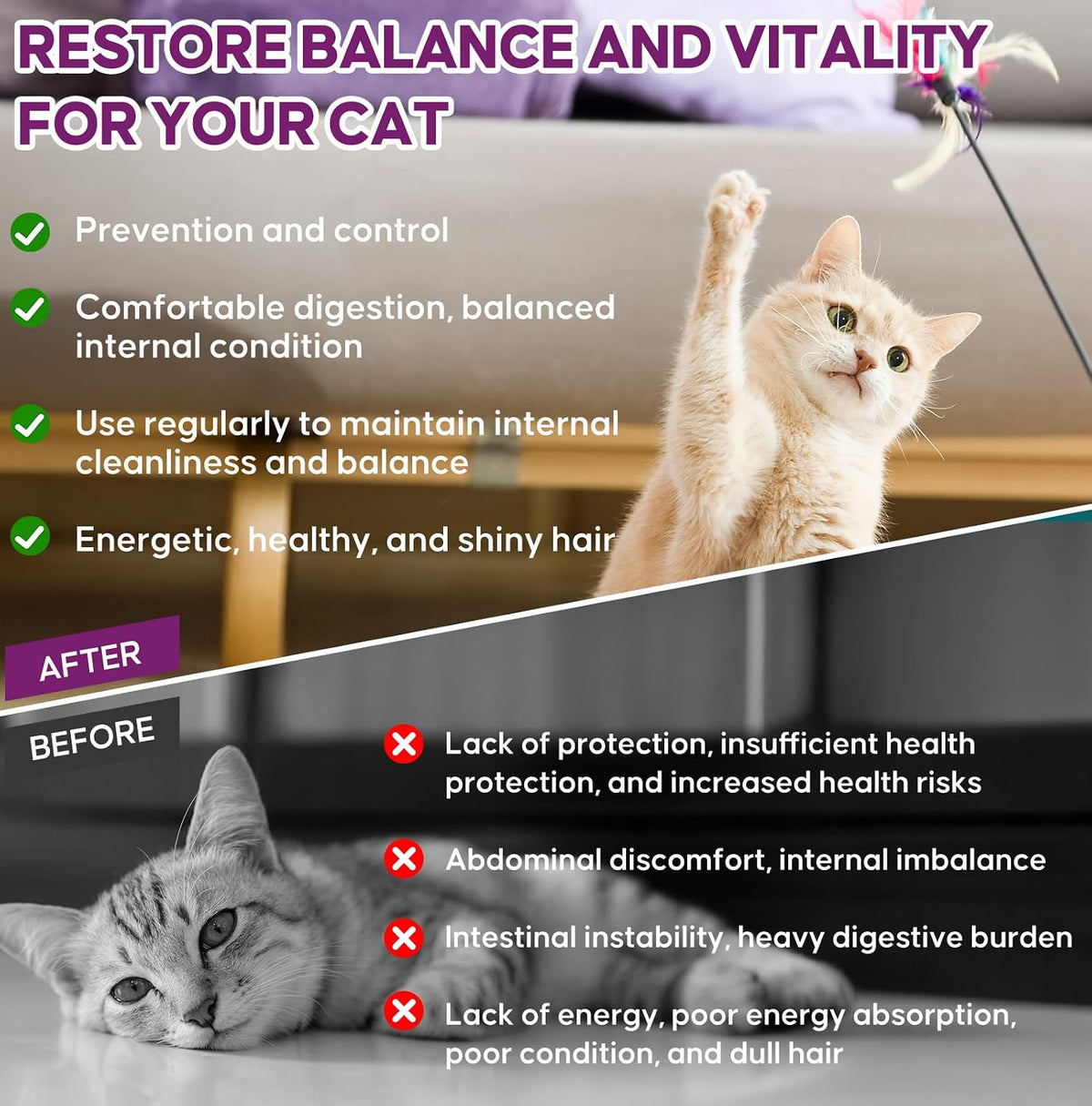BiKontrun internal balance support liquid for cats with easy dropper top