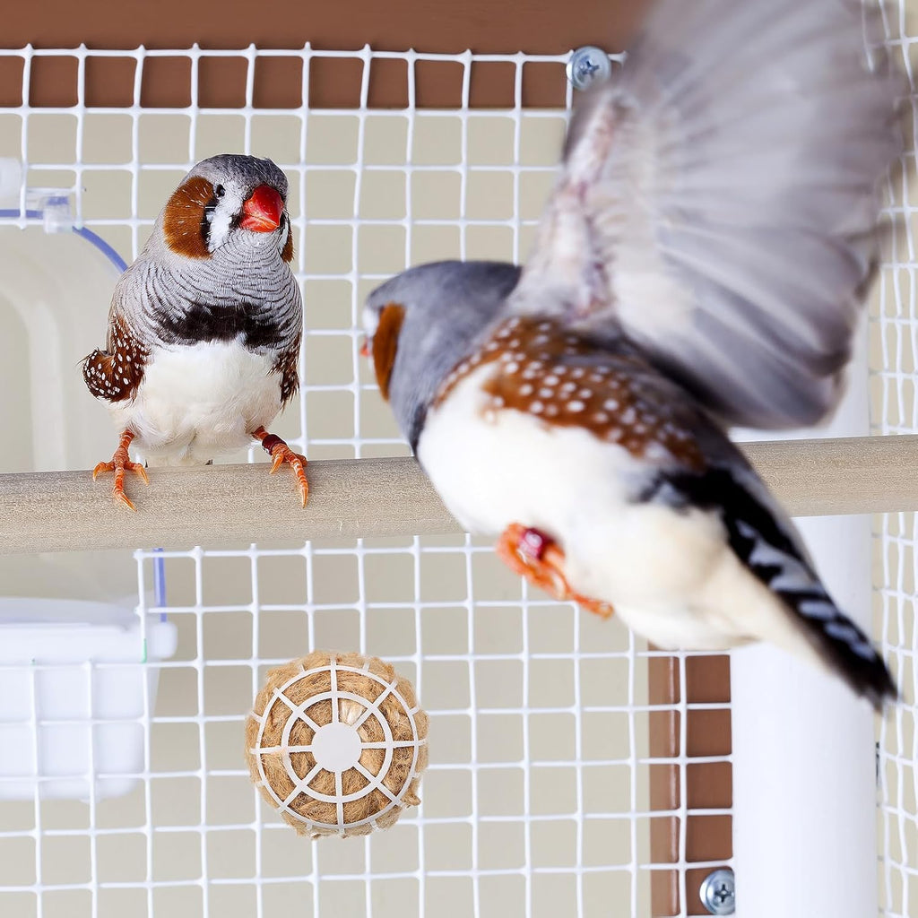 Natural bedding material displayed for parakeets and canaries