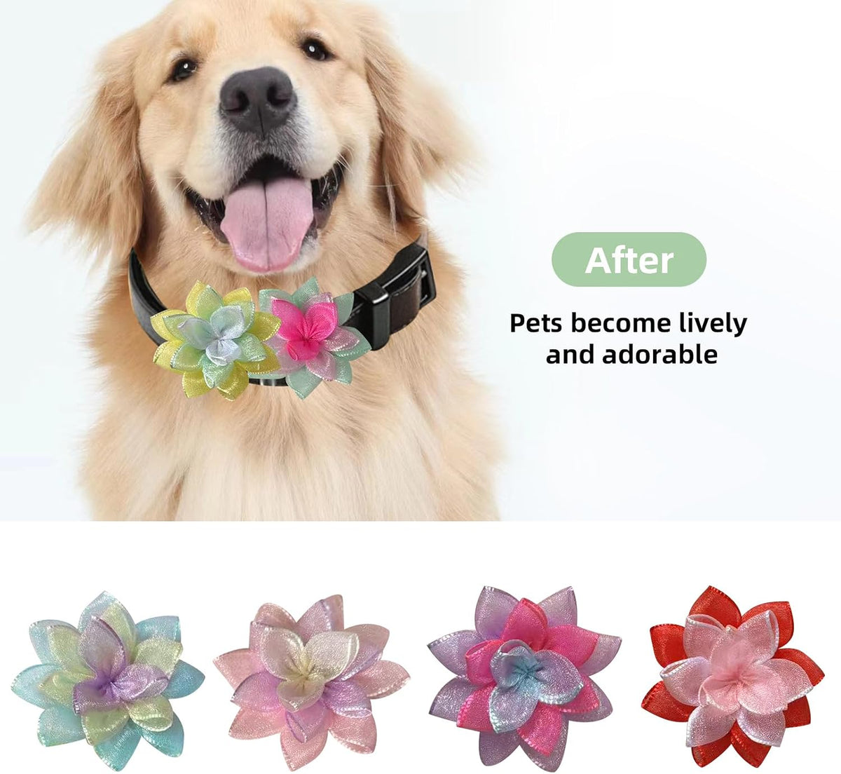 Dog wearing vibrant mesh flower collar accessory