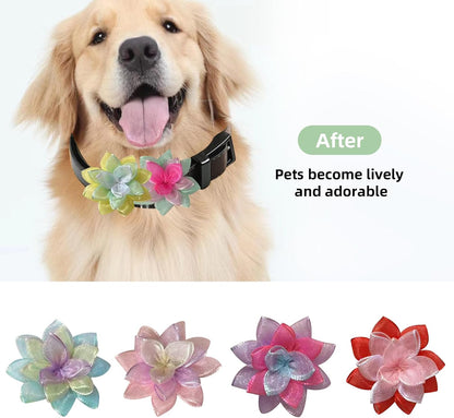 Dog wearing vibrant mesh flower collar accessory