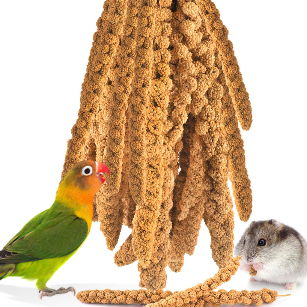 Selection of Katumo millet sprays for various pet birds