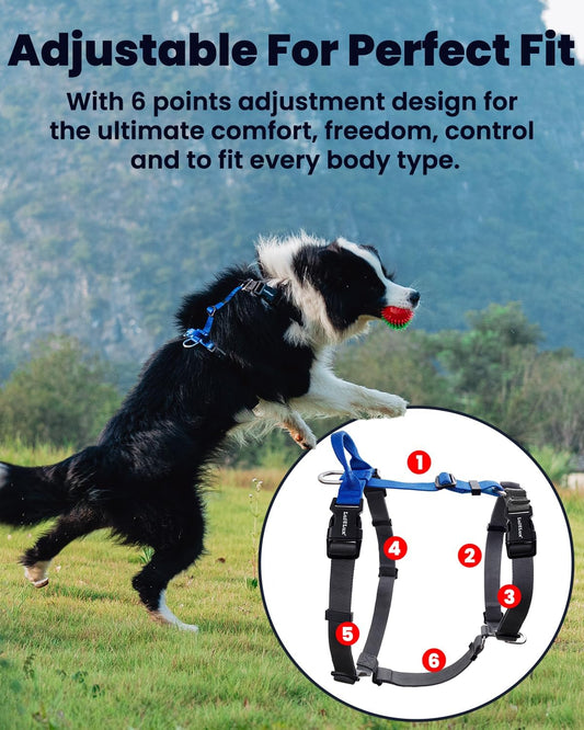 LufeLux red and black harness neck buckle detail