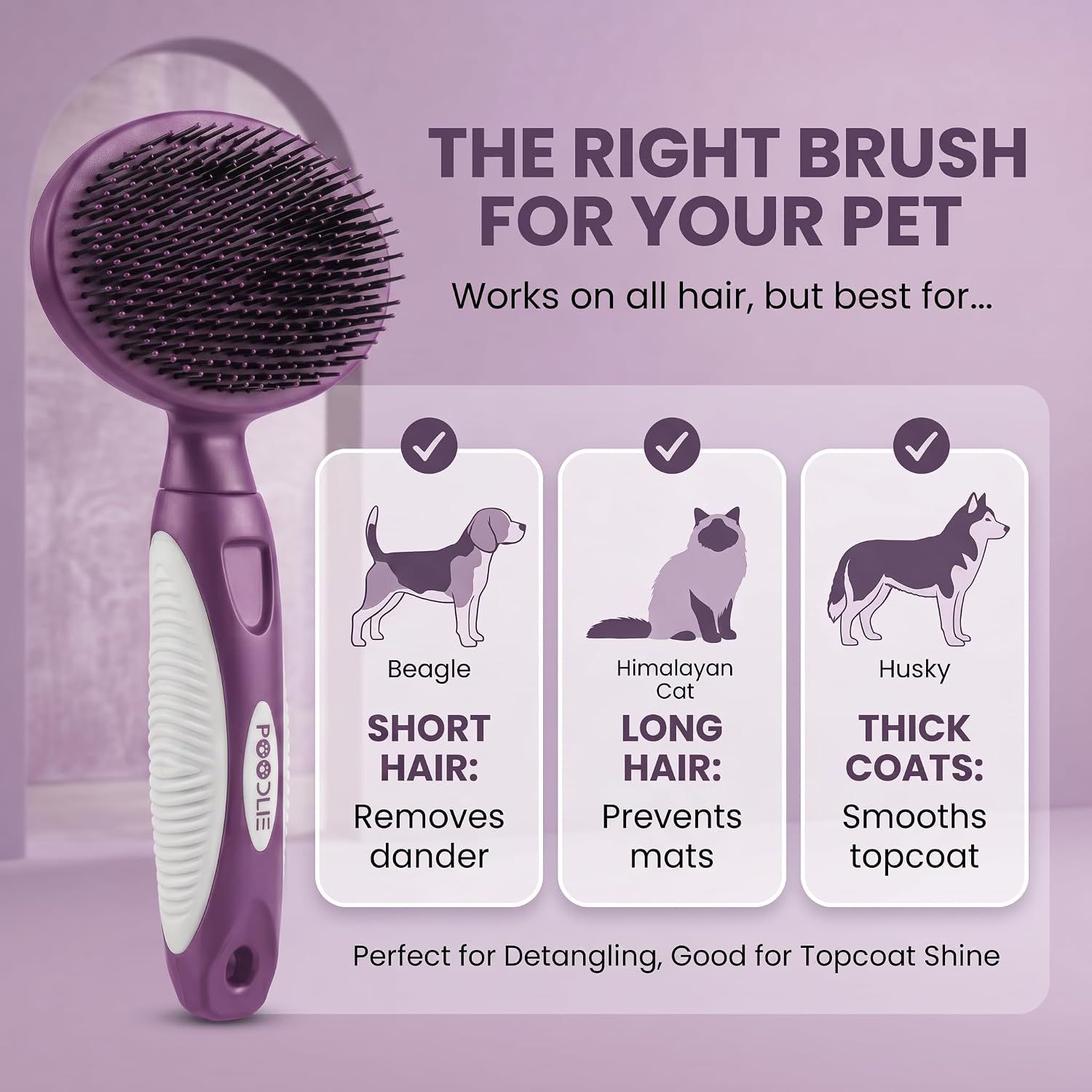 Purple pet brush for sensitive skin highlighting rounded bristles