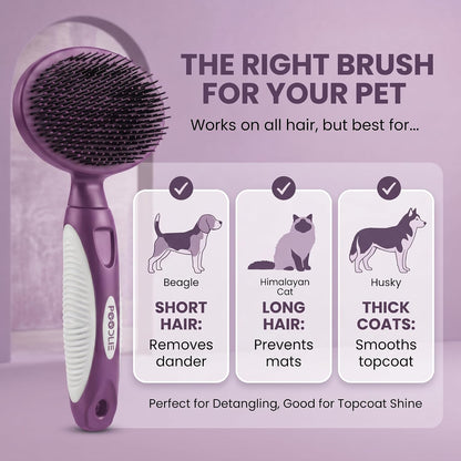Purple pet brush for sensitive skin highlighting rounded bristles