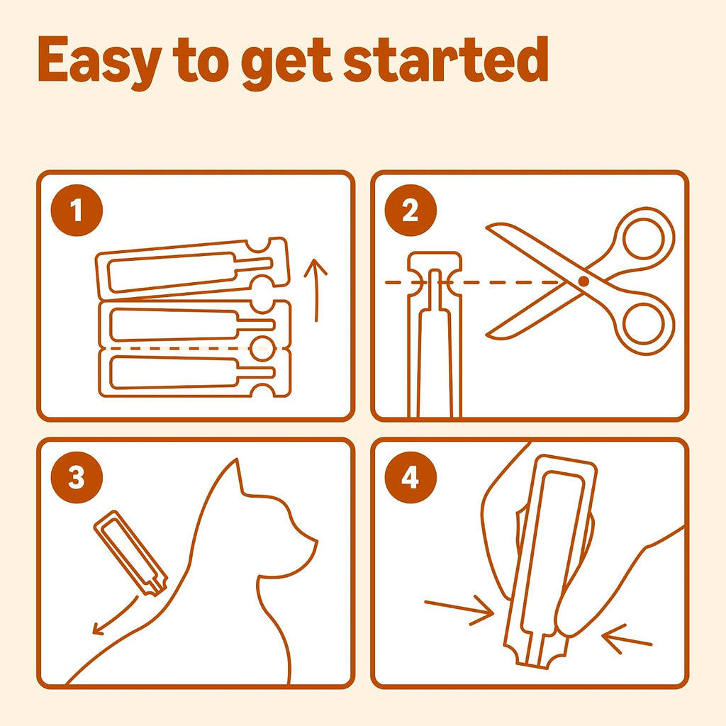Amazon Basics monthly pest protection kit for medium kittens and cats