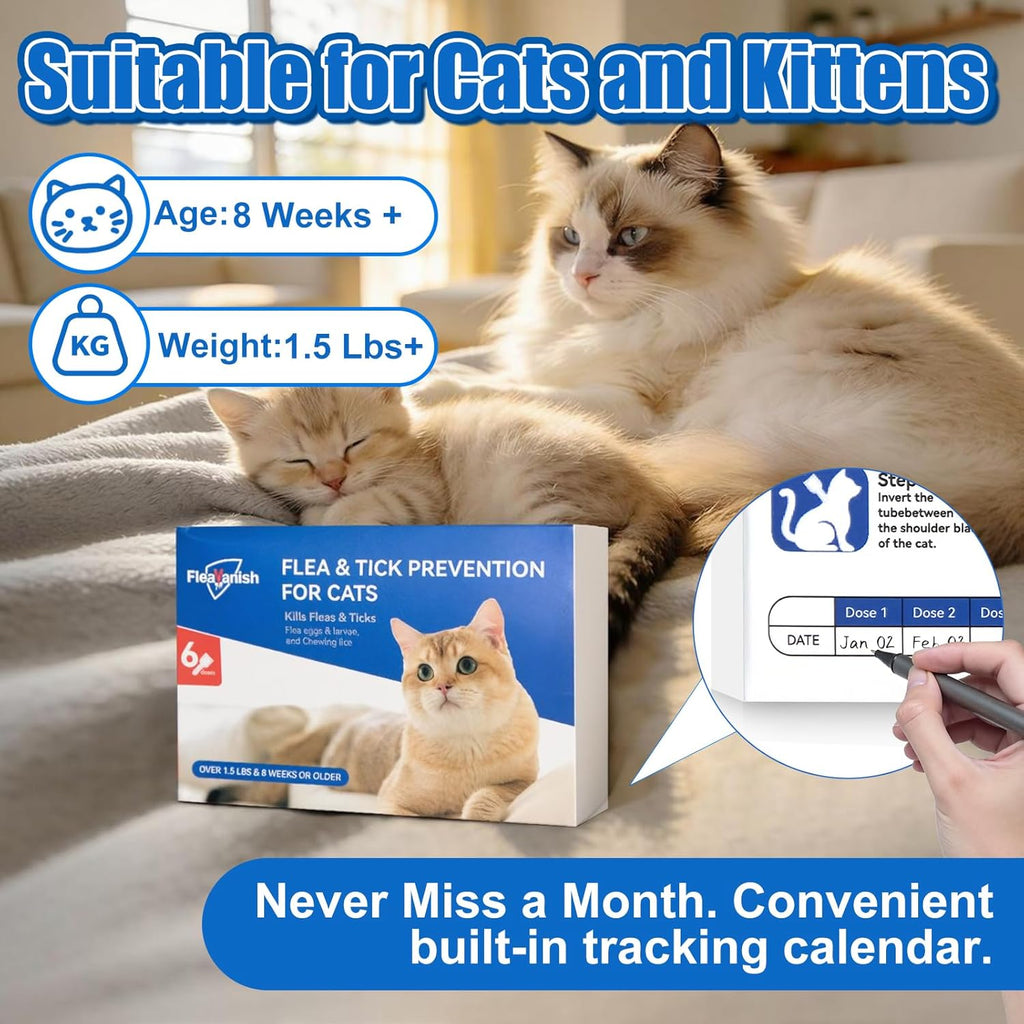 FleaVanish waterproof flea treatment being applied between cat shoulder blades