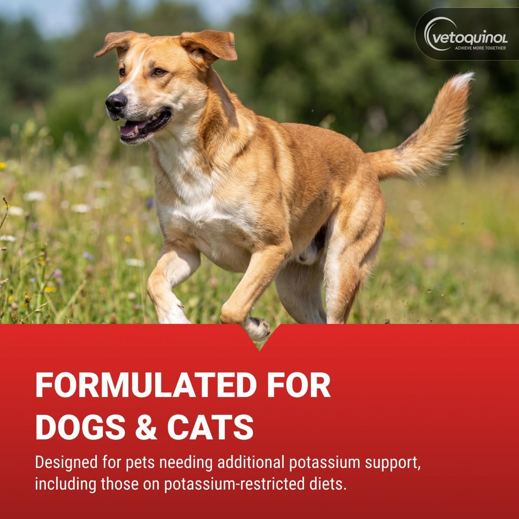 Vetoquinol Renal K supplement for cats and dogs