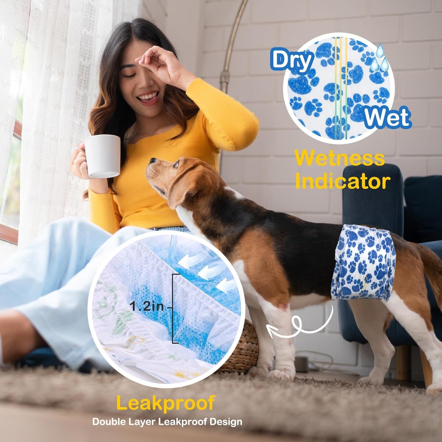 Small male dog wearing the breathable Dono diaper belly band comfortably indoors