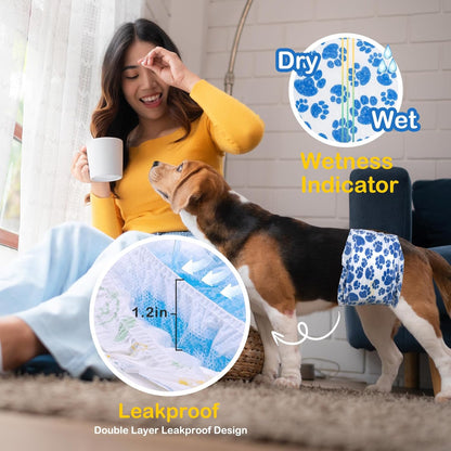 Small male dog wearing the breathable Dono diaper belly band comfortably indoors