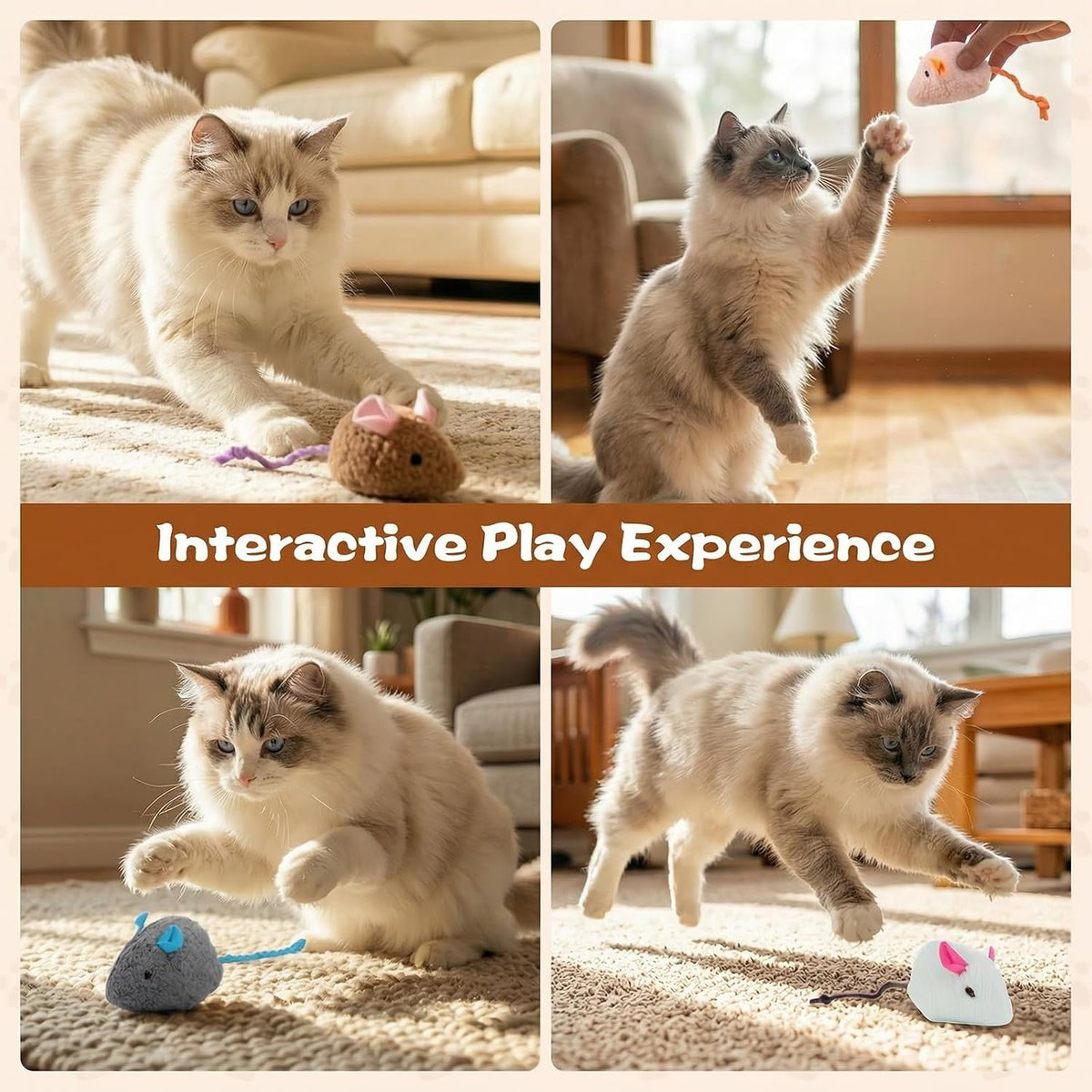 Authentic USA imported WRW pet interactive fetch toys packaging contents