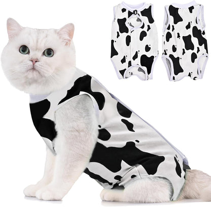 Avont teal duck print cat bodysuit designed to prevent overgrooming and stitch irritation.