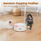 Potaroma automatic pet toy highlighting the dual power supply options via USB port connection.
