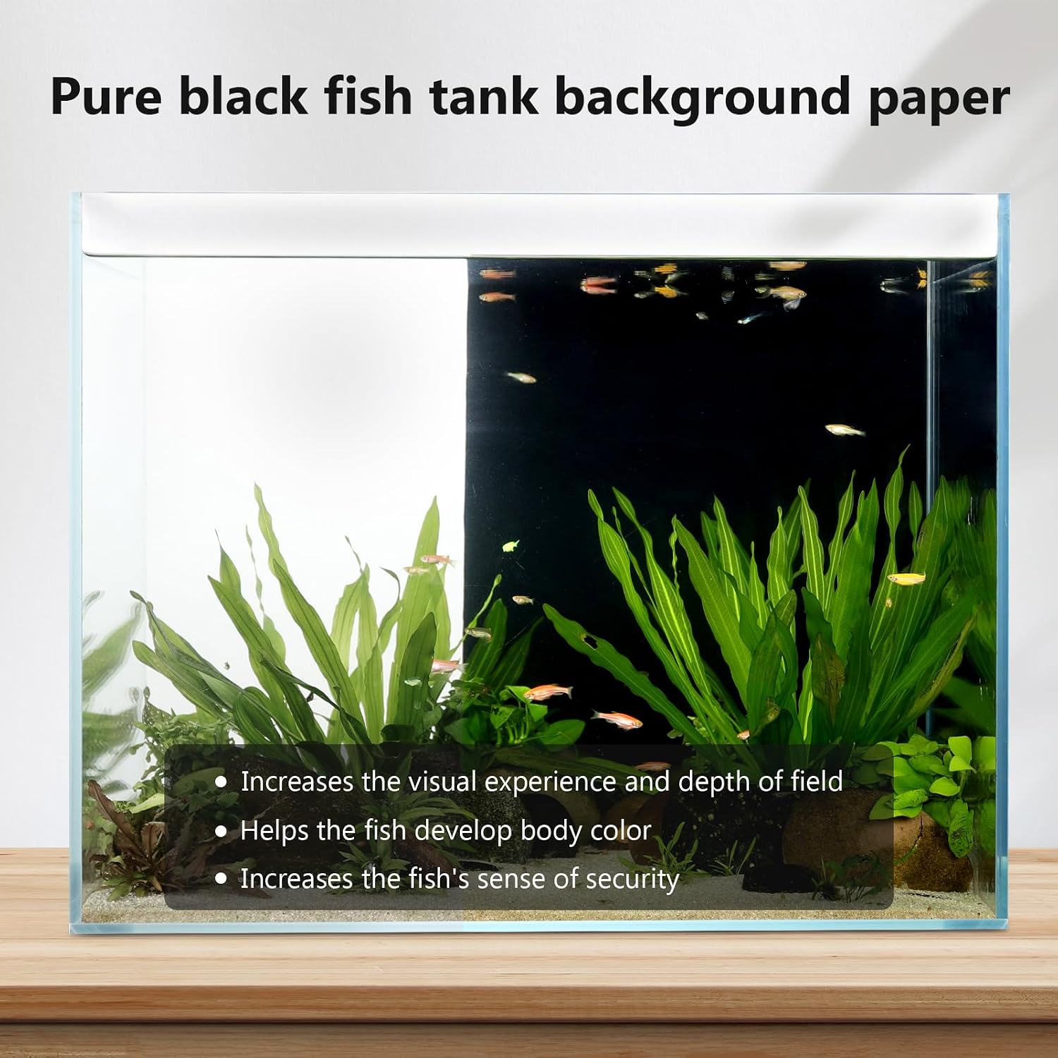 Thickened PVC waterproof fish tank background film applied to a modern aquarium