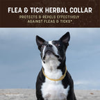 Close up of Earth Animal herbal collar showing waterproof texture