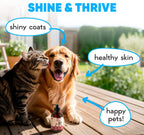 HEAPETS wild caught salmon oil bottle alongside a healthy dog and cat