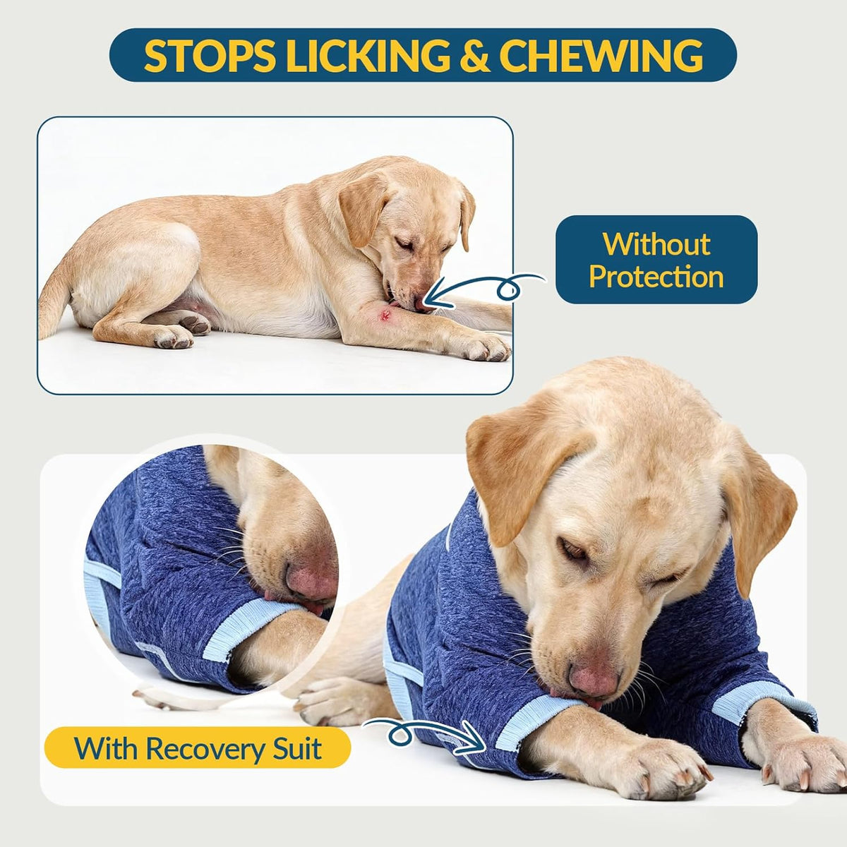 Anti licking dog onesie cone alternative for anterior cruciate ligament joint care