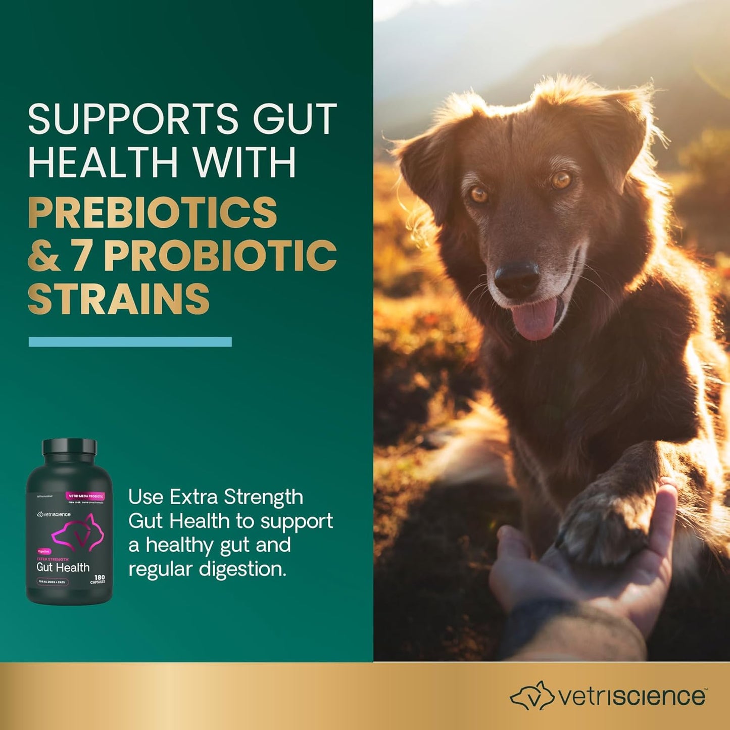VetriScience pet digestive supplement showing 180 count daily easy open capsules