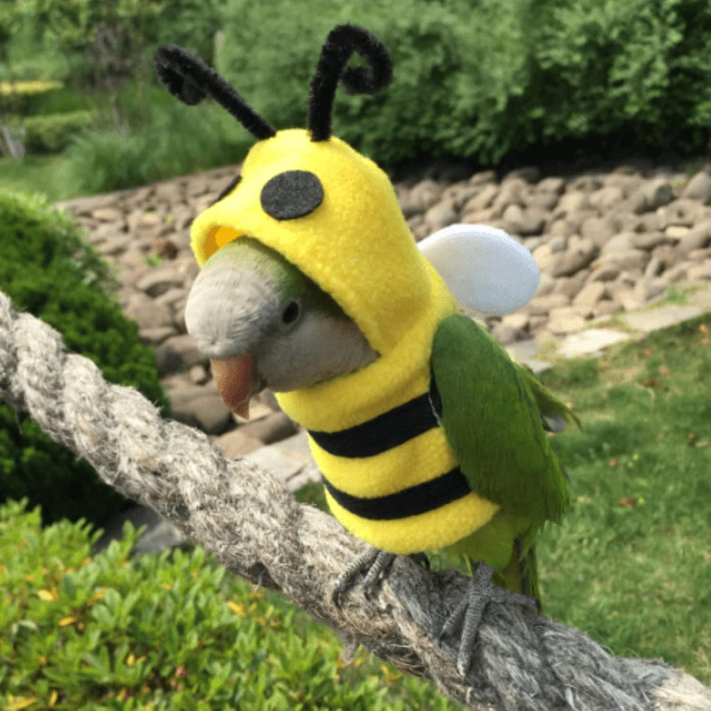 YANQIN bee bird costume fabric texture
