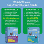 10LB Dried Black Soldier Fly Larvae for Chickens - Image 3