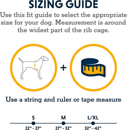 Detail of the strong aluminum V ring leash attachment point on the Ruffwear harness base.