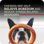 Safe digestible dental hygiene chew treats for dogs three count