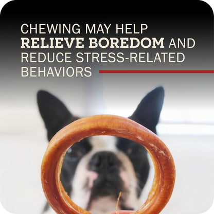 Safe digestible dental hygiene chew treats for dogs three count