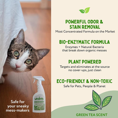 Wee Away X2 green tea scent pet urine odor eliminator on a fabric sofa