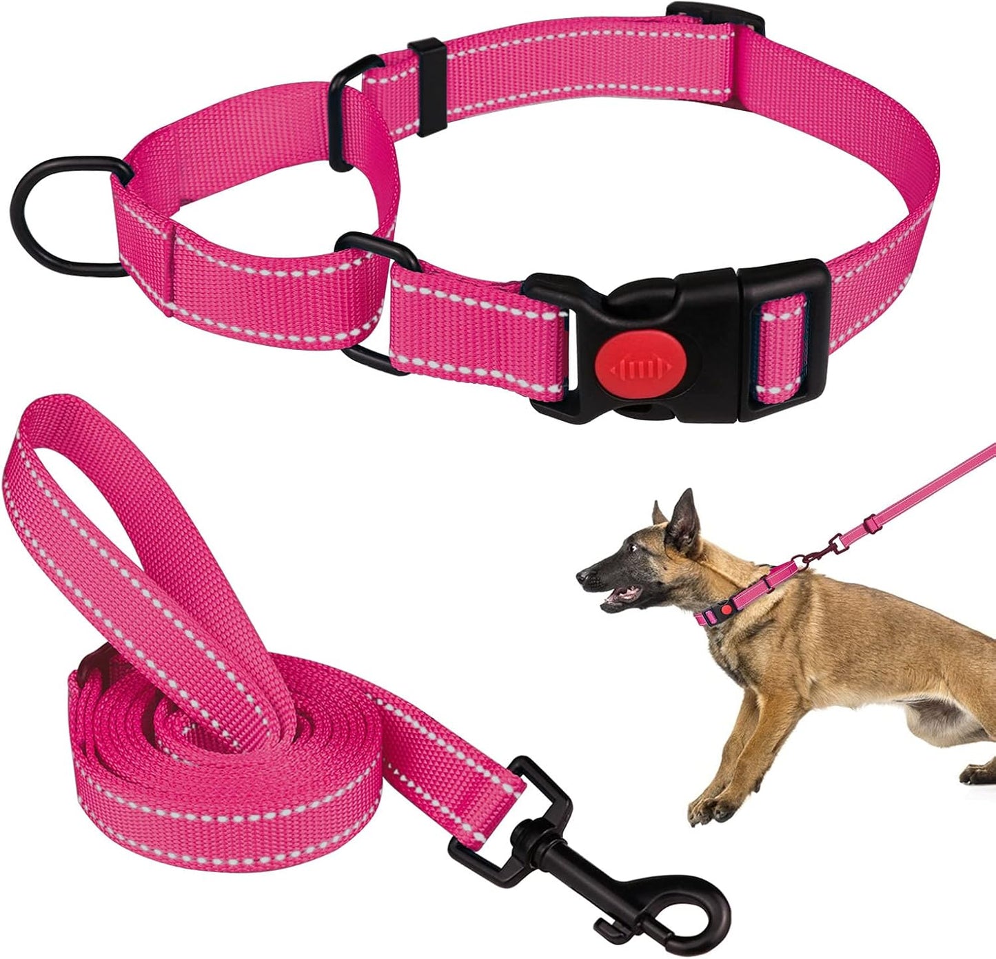 Mtliepte martingale dog collar and leash set front view escape proof training collar