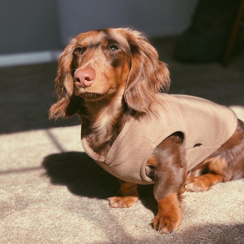 Gooby cold weather fleece jacket for small dogs showing the large armhole design