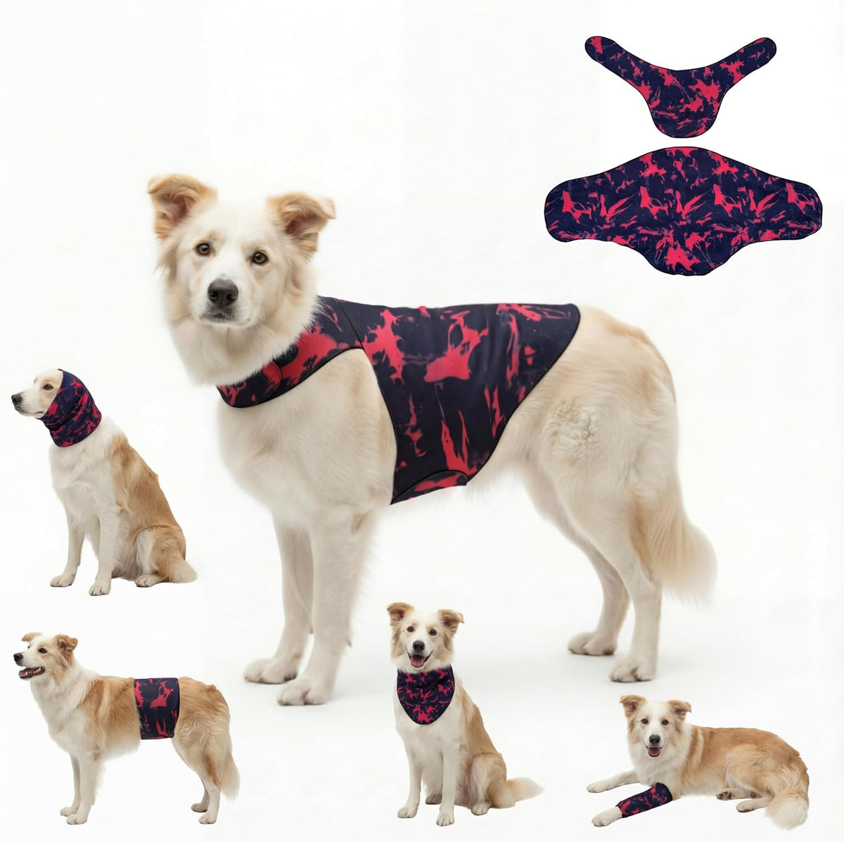 Dajidali premium imported USA pet care vest packaging display
