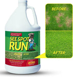 See Spot Run Dog Urine Neutralizer for Lawn Protection | Cures and Prevents Burn Spots | All Natural, Pet & Human Safe | Lawn Saver to Use with Your Lawn Fertilizer | USA Made - Image 9
