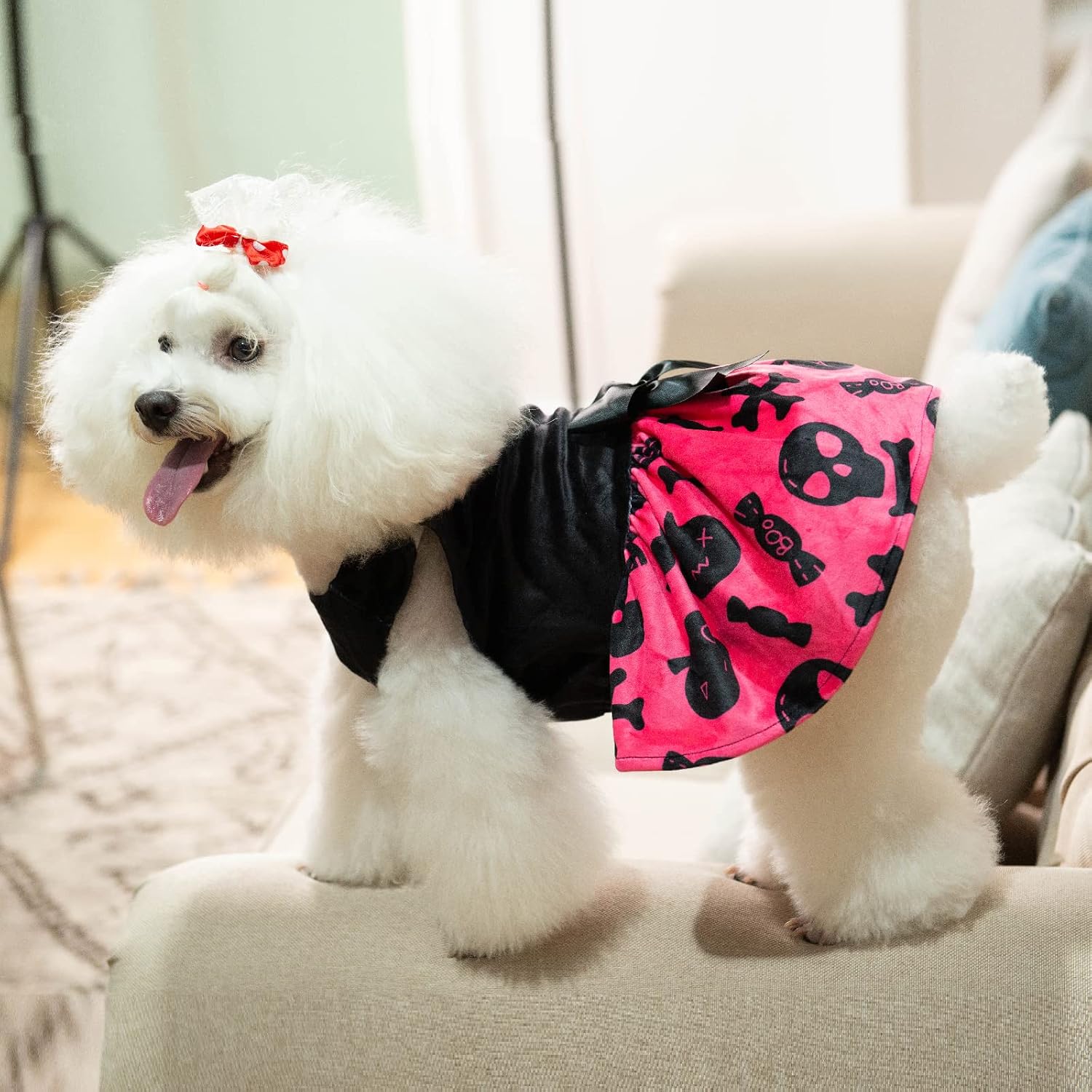 Pink Halloween skull print velvet dress for female Chihuahua and Yorkie