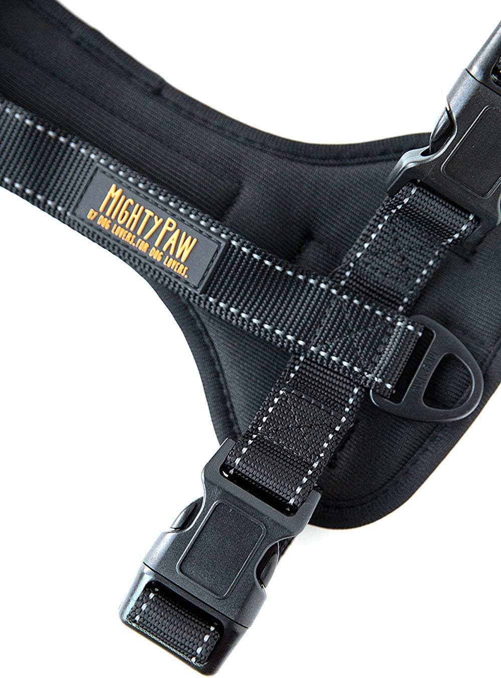 Mighty Paw harness back leash attachment for daily walking