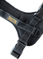 Mighty Paw harness back leash attachment for daily walking