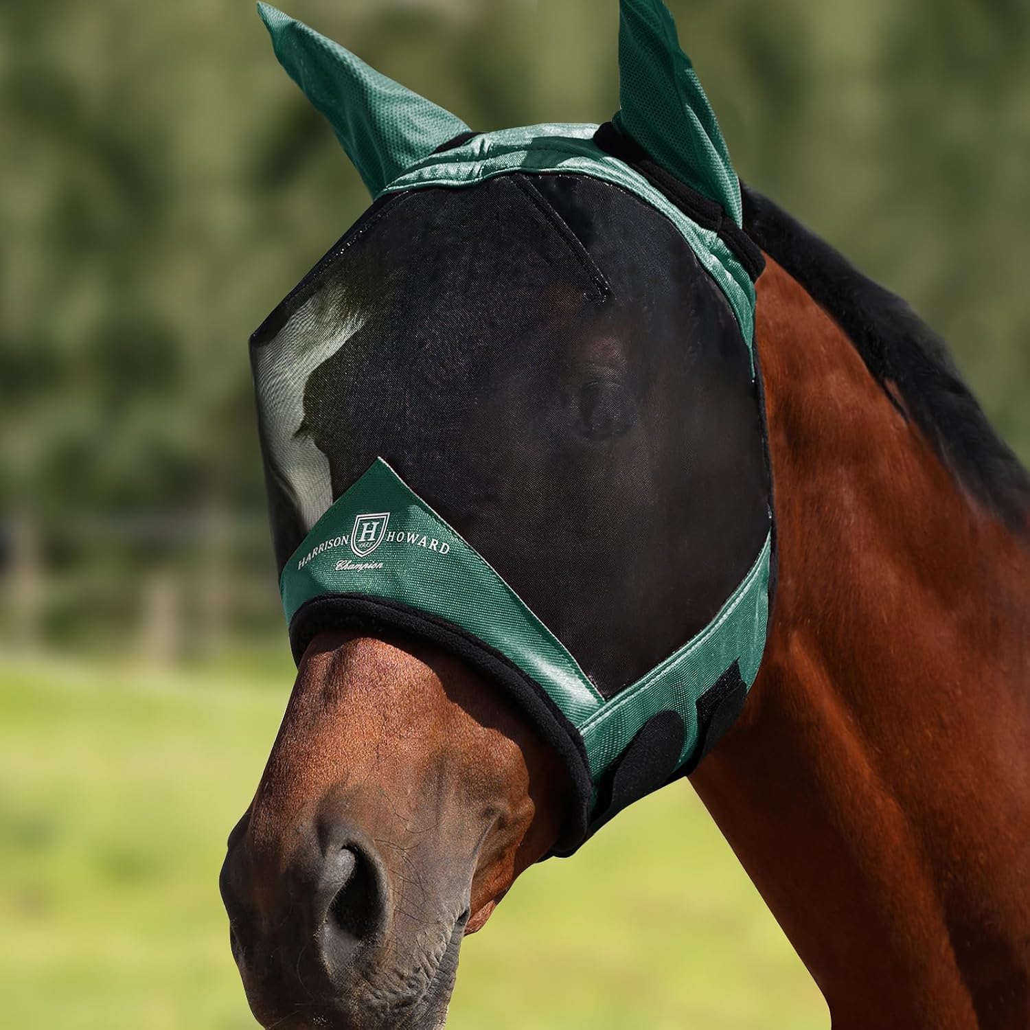 Harrison Howard Horse Fly Mask with Ears, Half Face Fly Mask for Horses, UV Protection, Large Eye Space Teal M - Image 10