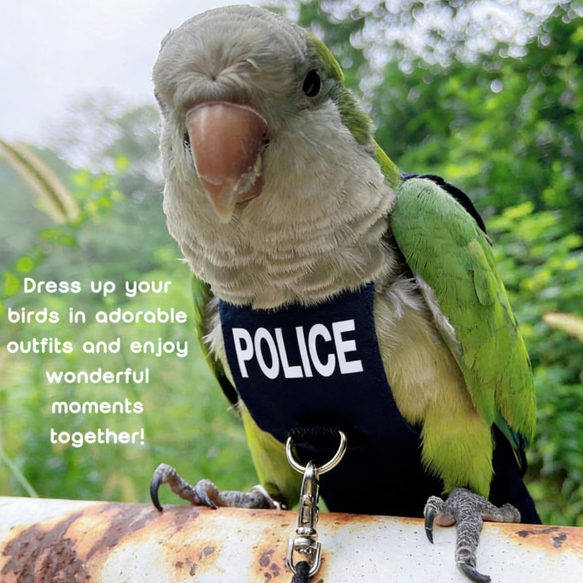 Adjustable pet bird diaper flight suit for outdoor flying adventures