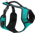 PetSafe EasySport dog harness front view teal medium