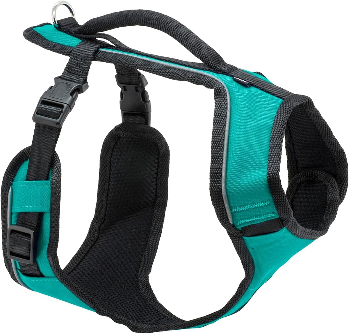 PetSafe EasySport dog harness front view teal medium