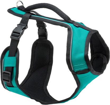 PetSafe EasySport dog harness front view teal medium