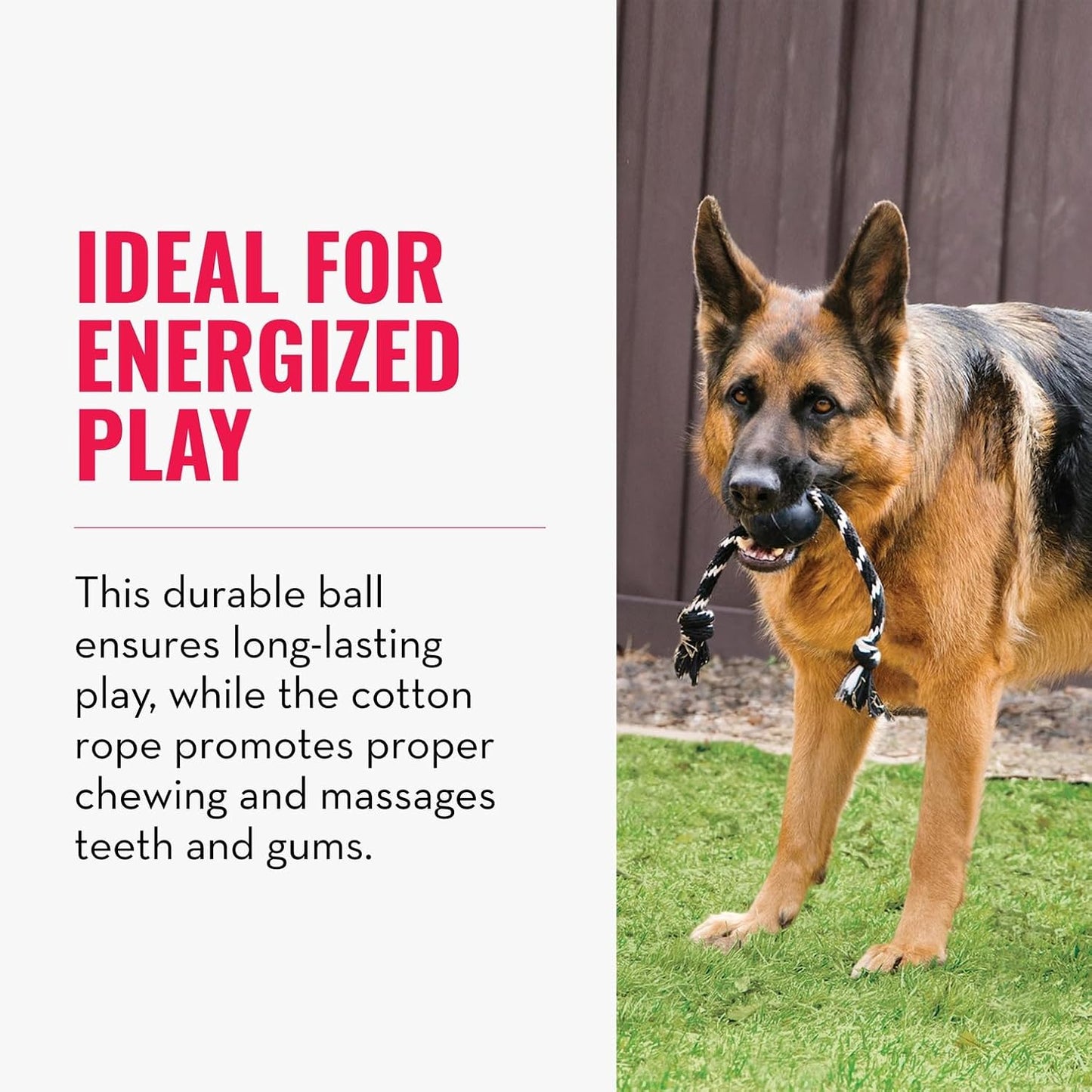 Authentic KONG Extreme Ball showing the tough puncture resistant texture