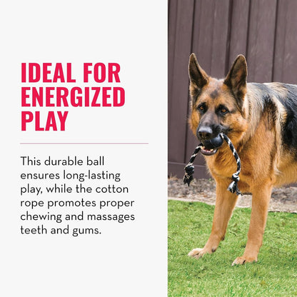 Authentic KONG Extreme Ball showing the tough puncture resistant texture