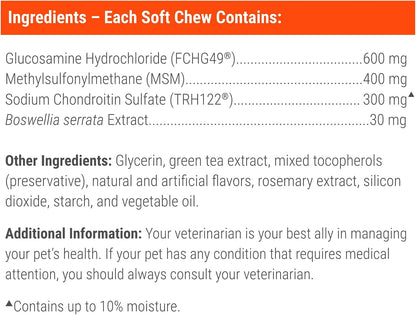 Nutramax Laboratories Cosequin DS Plus MSM for dog mobility and cartilage care