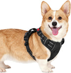 rabbitgoo Dog Harness for Large, No Pull Easy On & Off with 3 Buckles Pet Harness, Adjustable Soft Walking Vest with 2 Clips and Handle, Reflective for Large Dogs, Blue, L - Image 15